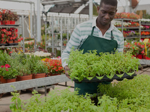 Commercial Growers & Nurseries banner image